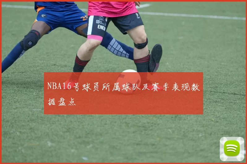 NBA16号球员所属球队及赛季表现数据盘点