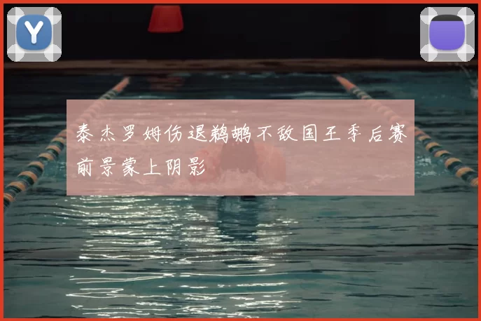 泰杰罗姆伤退鹈鹕不敌国王季后赛前景蒙上阴影