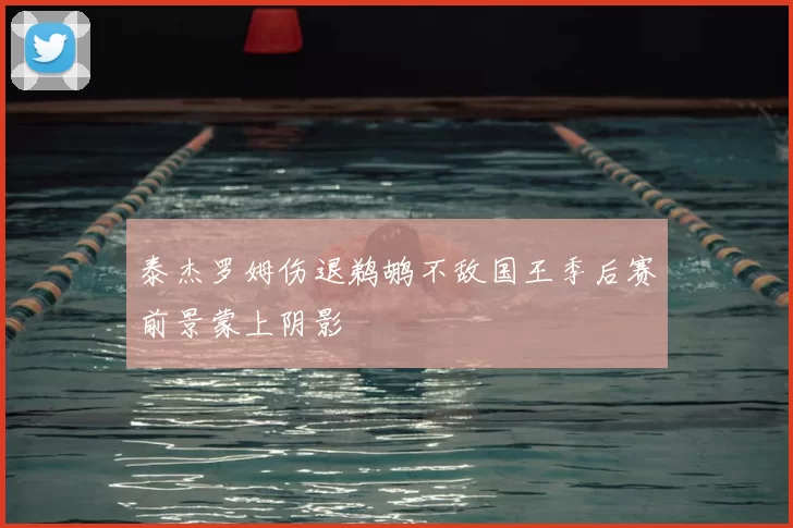 泰杰罗姆伤退鹈鹕不敌国王季后赛前景蒙上阴影