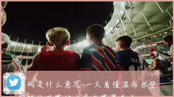 温网是什么意思 一文看懂温布尔登网球公开赛的由来与赛事看点